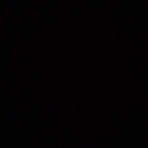 Meet your Posher, Manny